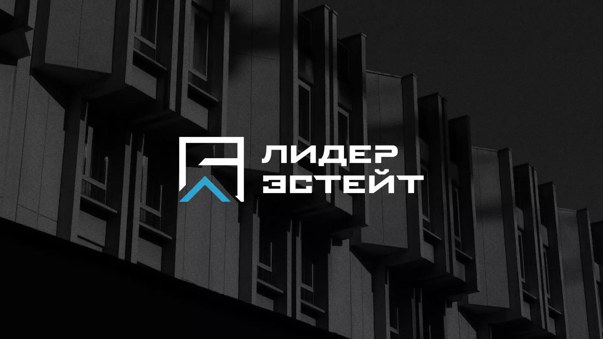 Разработка логотипа агентства недвижимости «Лидер Эстейт» в Свердловском